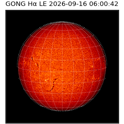 gong - 2026-09-16T06:00:42