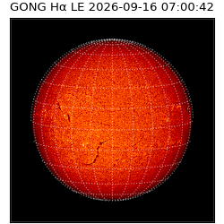 gong - 2026-09-16T07:00:42