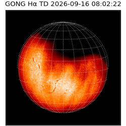 gong - 2026-09-16T08:02:22