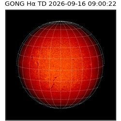 gong - 2026-09-16T09:00:22