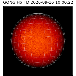 gong - 2026-09-16T10:00:22