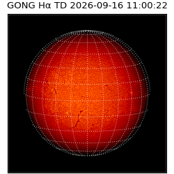 gong - 2026-09-16T11:00:22