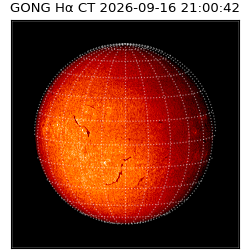 gong - 2026-09-16T21:00:42
