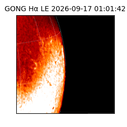 gong - 2026-09-17T01:01:42