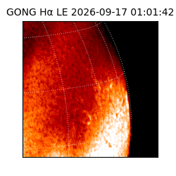 gong - 2026-09-17T01:01:42
