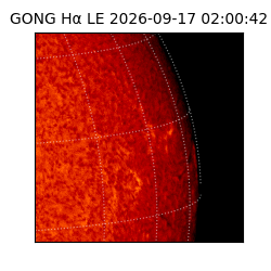 gong - 2026-09-17T02:00:42