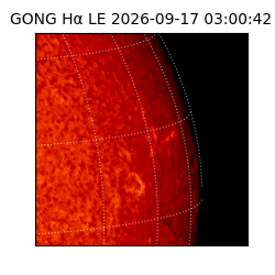 gong - 2026-09-17T03:00:42