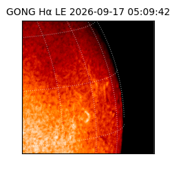 gong - 2026-09-17T05:09:42