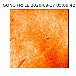 gong - 2026-09-17T05:09:42
