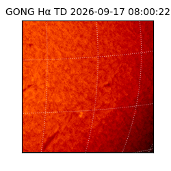gong - 2026-09-17T08:00:22