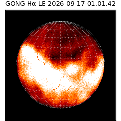 gong - 2026-09-17T01:01:42