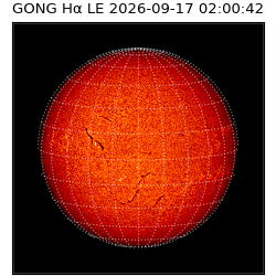gong - 2026-09-17T02:00:42