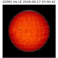 gong - 2026-09-17T03:00:42