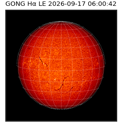 gong - 2026-09-17T06:00:42