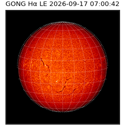 gong - 2026-09-17T07:00:42