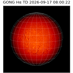 gong - 2026-09-17T08:00:22