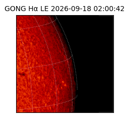 gong - 2026-09-18T02:00:42