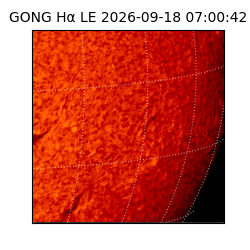 gong - 2026-09-18T07:00:42
