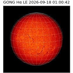 gong - 2026-09-18T01:00:42
