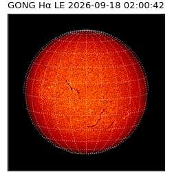 gong - 2026-09-18T02:00:42