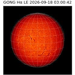 gong - 2026-09-18T03:00:42