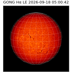 gong - 2026-09-18T05:00:42