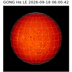 gong - 2026-09-18T06:00:42