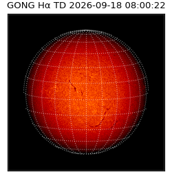 gong - 2026-09-18T08:00:22