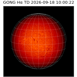 gong - 2026-09-18T10:00:22