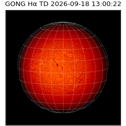 gong - 2026-09-18T13:00:22