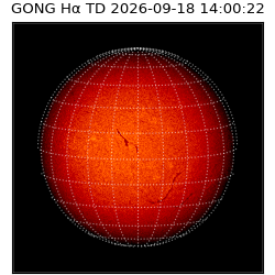 gong - 2026-09-18T14:00:22