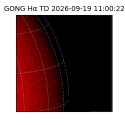 gong - 2026-09-19T11:00:22