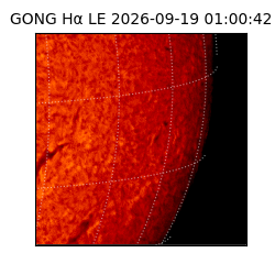 gong - 2026-09-19T01:00:42
