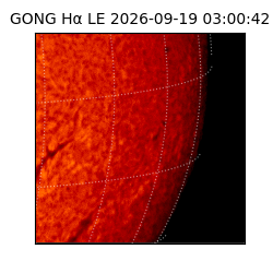 gong - 2026-09-19T03:00:42