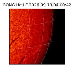 gong - 2026-09-19T04:00:42