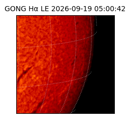 gong - 2026-09-19T05:00:42