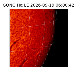 gong - 2026-09-19T06:00:42