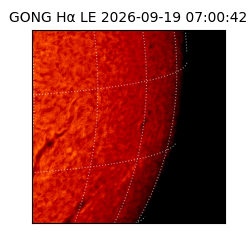 gong - 2026-09-19T07:00:42