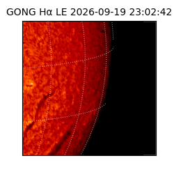 gong - 2026-09-19T23:02:42