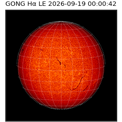 gong - 2026-09-19T00:00:42