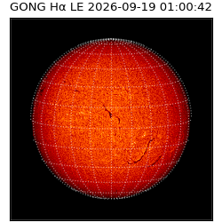 gong - 2026-09-19T01:00:42