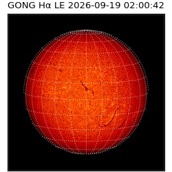 gong - 2026-09-19T02:00:42