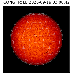 gong - 2026-09-19T03:00:42