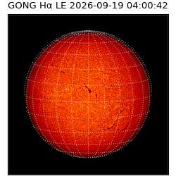 gong - 2026-09-19T04:00:42