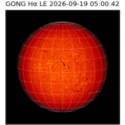 gong - 2026-09-19T05:00:42