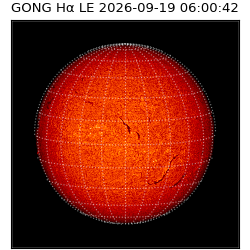 gong - 2026-09-19T06:00:42