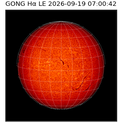 gong - 2026-09-19T07:00:42