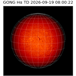 gong - 2026-09-19T08:00:22