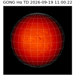 gong - 2026-09-19T11:00:22