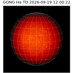 gong - 2026-09-19T12:00:22